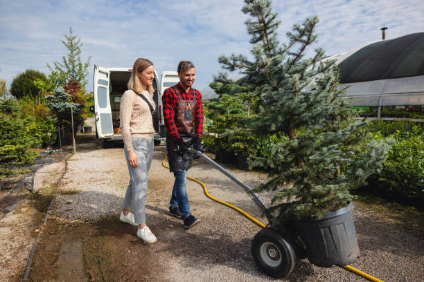 Best Fruit Tree Pruning  in Deer Park, IL